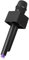 Totority Microphone Simulation Microphone with Flag Station for Role Playing Party Performance Stage Props for Young Singers Reporters and Movie Stars