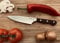 Amefa Premium Kochmesser 6 | Küchenmeser für Fleisch, Fisch, Gemüse | Scharfes Profi Messer
