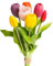 Botanic-Haus künstliches Tulpenbündel/künstlicher Tulpenbund Sandy mit 7 Tulpen, Farbe: bunt „real Touch“