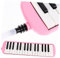 GREENADSCAPE Melodica Tasten Für Junge Mädchen Und Erwachsene Anfängerfreundliches Blasinstrument Mit Tragetasche Fördert Musikalisches Lernen Und Kreativität