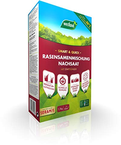 Westland® Smart & Quick - Rasensamenmischung Nachsaat, 1,5 kg für 60 m²