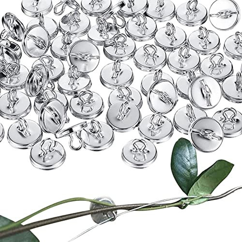 Vine Trellis Outdoor Wall | 50/100 Wall Anchors for Climbing | Plant Trellis System Kit for Trellis Vine and Fulenyi