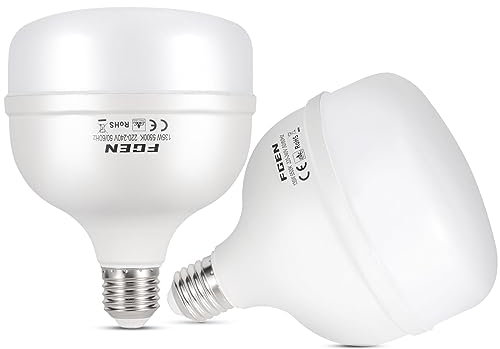 FGen 2X135W Fotolampe 5500K Fotoleuchte mit E27 Stecker, Studioleuchte Energiesparende 10000 Stunden Lebensdauer Beleuchtung für Produktfotografie Softbox, Fotostudio T40 Bulbs