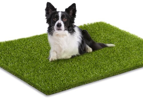 CooRug Kunstrasen, 91,4 x 61,4 cm, Hunde-Urin-Pads, professioneller Kunstrasen für den Außenbereich, für Haustiere, Hauseingang, Terrasse, Garten, Teppich, Rasentürmatte, Dekoration