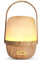 SALKING Cordless Essential Oil Diffusers, Portable Ultrasonic Aromatherapy Diffuser with Warm Light, Wireless for Camping Travel Home Office (Wooden Grain)