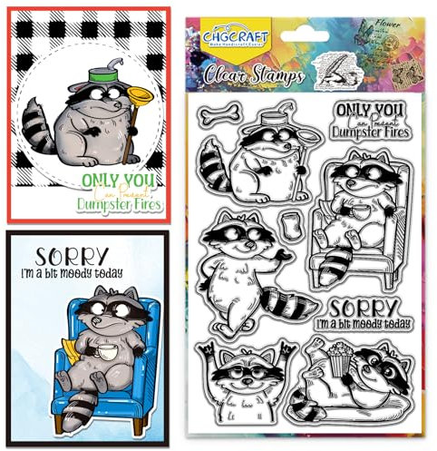 CHGCRAFT Lustiger Waschbär Klarer Stempel Transparent Bastelstempel für DIY Scrapbooking Fotoalbum dekorative Karten machen, Waschbär, 6,3x4,3 Zoll