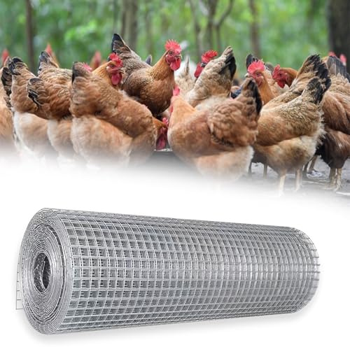 SXEVZOO 304 Stainless Steel Hardware Cloth, 2 Inch Mesh Hole Welded Wire Mesh Fence For Chicken Wire Fencing, DIY Poultry Cages, Vegetables Garden Screen(1x22m)