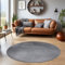 HomebyHome Kurzflor Teppich Wohnzimmer 160 cm Rund Grau - Waschbarer Teppich für Schlafzimmer, Esszimmer und Küchenteppich - Flauschig, Extra Weich, Einfarbig, Rutschfest, Modern