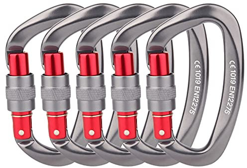 Paliston 25kN Lot de 2 mousquetons d'escalade en Aluminium en Forme de D Gris
