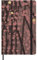 MOLESKINE Notebook in Edizione Limitata, Taccuino Sakura con Grafiche a Tema, Pagine Bianche e Copertina Rigida in Tessuto, Formato Large 13x21 cm, 240 Pagine