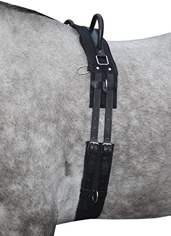 equi-deluxe Longiergurt mit Haltegriffen, Reitlerngurt, Voltigiergurt, Trainingsgurt mit 8 Ringen und Oesen zur Befestigung von Hilfszügeln (WB/Full)