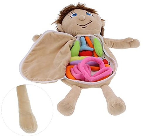 Cryfokt Menschliche Körperorgane Lernen Plüschpuppe für, Pädagogisches Anatomiespielzeug für Unterrichtshilfen Im Klassenzimmer, 18,1-Zoll-Puppe für ab 3 Jahren (menschlicher Organjunge)