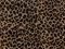 Amornphan 111,2 cm brauner Stoff mit Leopardenmuster, Tier, Gepard, Tiger, 100 % Baumwolle, für Patchwork, Handarbeit, Nähen, Basteln für 91,4 cm.