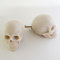 ZILucky 2 Stück Totenkopf-Schubladenknöpfe, Schrankknöpfe, Schubladengriffe, Halloween-Heimdekoration, Skelett-Heimdekoration, Hexendekoration (2, grauweiß)