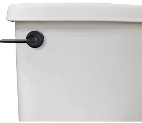 Danco 12052 Toilet Tank Lever, Matte Black