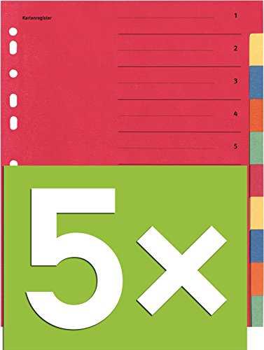 Falken Karton-Register für DIN A4 24 x 29,7 cm volle Höhe mit Organisationsdruck (10-teilig | 5er Pack)