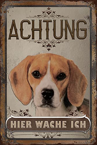 30 x 20 cm wetterfestes Blechschild, Warnhinweis, Torschild, Achtung, hier Wache ich! Warnung vor dem Hund (Beagle)