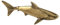 OSOLADY Niedliche Hai-Ornamente Bastelset Wohndekoration Hai-Figur Tierskulptur Selber Machen Schreibtisch-Tier-Statue Hausskulptur Schreibtisch- Hai-Statue Tierfigur Golden Messing