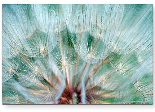 Paul Sinus Art Leinwandbilder | Bilder Leinwand 120x80cm Pusteblume – Nahaufnahme