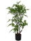 Leaf Artificial Realistic Natural Look Pot, Moss Fern Medium, 90cm