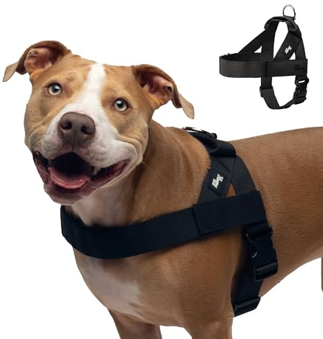 Dog Friendly Co. Hundegeschirr für große Hunde, kein Ziehen, Schwarz, Größe L