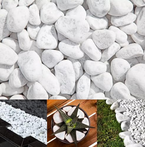 Carrara Decorative Natural Marble SNOW WHITE 20-40mm 20 kg Pure White Pebbles Stones Gravel Chippings Landscape Garden Home (20, Kilograms)