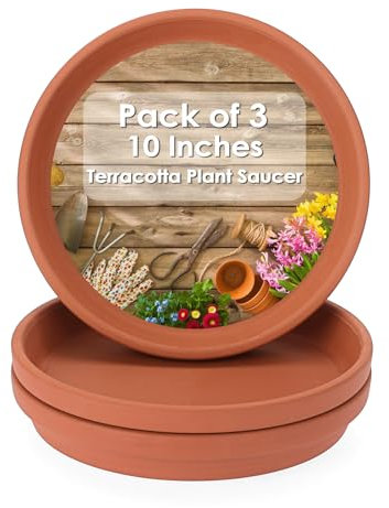 SUMTree 24.2cm Terracotta Pot Plant Saucer, 6pcs Round Plant Pot Saucers, Small Clay Plant Tray Terracotta Saucers Perfect for 6/7/8Inch Flower Pot with Drainage Hole for Indoor/Outdoor