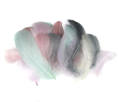 BDBFPAN Federn Zum Basteln, Weiße Federn Zum Basteln Federn und Grau Indianer Deko Weich Traumfänger Basteln für Handwerkliche Produktion und Styling Design (Farbe)