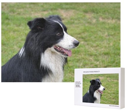 Border Collie,Puzzle in legno da 300 pezzi per famiglie, per adulti e adolescenti, decorazioni per la casa