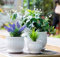 Nattol Lot de 3 Pots de Fleurs en céramique avec soucoupes, Pots de Fleurs Ronds Modernes en céramique avec Texture à Rayures Blanches, Petite à Moyenne Taille
