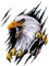 Auto 3D Aufkleber, 1 Stück Adler Autoaufkleber Auto Karosserie Dekor Selbstklebend Auto Motorhaube Aufkleber Wasserdicht DIY Lustiger Realistic Aufkleber Sticker Auto Styling Dekoration Aufkleber