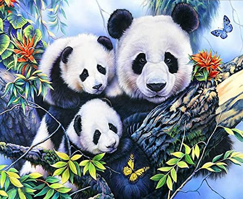 NANSUGUR Kit Peinture par Numéro pour Adulte Enfant, Kit Peinture Adulte Enfants sans Cadre, Peinture Loisir Creatif Enfant|40x50cm Pandas