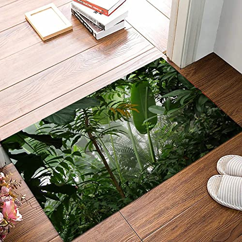 ANNKOOT Weich Badezimmerteppich 50x80 cm,Nebelhafte Dschungel-Regenwald-Szene,rutschfest waschbar Badematte, Badteppich Mikrofaser Saugfähig Badvorleger Duschvorleger