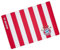 FC Bayern München Schreibtischauflage, Rot/Marineblau, PVC, 60 x 40 cm