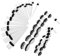 36 Dehnstab Dehnstift Ohr Stab Taper Plug für Expander 1,6-10mm Set, Transparent