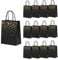 XNX 24 Pack Paper Party Bags,Kraft Paper Party Bags with Handles for Birthday,Business,Boutique,Wedding and Party Celebrations(Black Star)