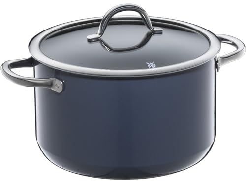 WMF Fusiontec Inspire Large Cooking Pot 24 cm Glass Lid Induction Casserole Pot 6.4 L High-Tech Ceramic Scratch-Resistant Uncoated Dark Blue Made in Germany