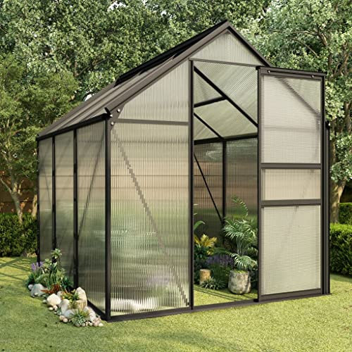Hommdiy Gewächshaus UV-beständig Wärmeisoliert Treibhaus Tomatenhaus Frühbeet Garten Pflanzenhaus Gartenhaus Anthrazit Aluminium 3,61 m²,190 x 190 x 125/195 cm