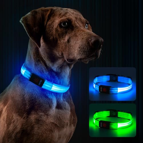Leuchthalsband Hund, Hundehalsband Leuchtend Aufladbar mit Batteriekontrollleuchte, Wasserdichtes LED Hundegeschirr Leuchtend, Einstellbare Größe 3 Blinkende Lichter