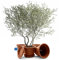 BigDean 4 Stück Blumentopf mit Untersetzer rund ø 40 cm Terracotta – wetterfester Pflanzkübel Made in Europe