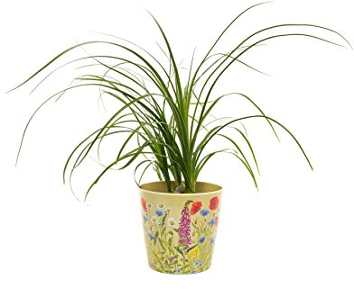 Bamboo Eco-Pot Iona Buchanan Meadow Set of 3