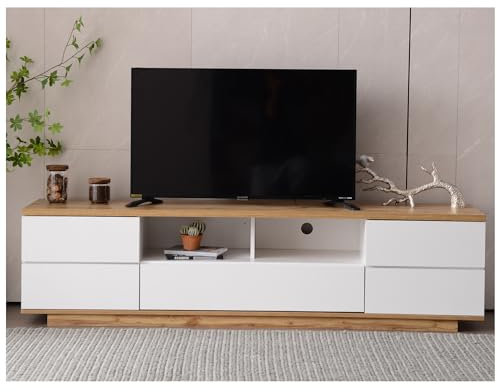 Racxily Mobile tv,mobile tv soggiorno (D)
