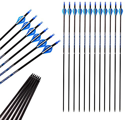 ACCMOS 27-33 Zoll Bogenschießen Carbonpfeil Spine 250 300 340 400 500 600 700 800 ID 6,2 mm Blauer Explosionsgeschützter Ring, für Erwachsene Jugend Recurve Compoundbogen Jagd Schießen 12 St