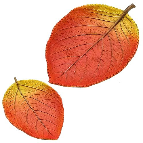 Dekohelden24 Lot de 2 coupes décoratives en forme de feuille d'automne, dimensions (L x l x H) : 25 x 13 x 7 cm et 16,5 x 12 x 2,5 cm, ovale