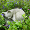 Stone Sleeping Cat Garden Lawn Decoration 21cm Ornament Concrete Statue Rememberance Figurine