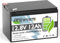 TCBWORTH Batterie Lithium 12V 12Ah, Batterie LiFePO4 Rechargeable avec BMS 12A, Pour Radio, solaire, caméra de sécurité, système d'alarme domestique
