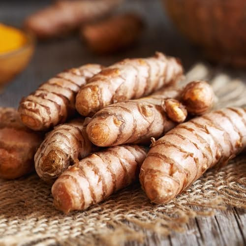 kurkuma samen zum einpflanzen curcuma kräutergarten geschenk, küchenkräuter kräutergarten küche, gemüse pflanzen bodendecker gartenkräuter, bio saatgut gemüse nachhaltige geschenke, 350pcs