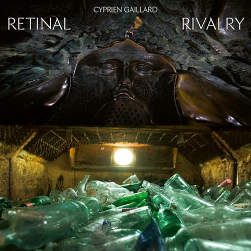 Retinal Rivalry (Picture Disc)