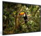 MuchoWow Poster Bilder Wanddeko Deko Wohnzimmer 90x60 cm Vogel - Tukan - Dschungel - Natur - Tropisch