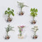 BlogBlog Glaswand-Pflanzgefäße, 6 Stück, Terrarium, hängende Luftpflanzenhalter, Behälter für Hydrokulturpflanzen, Sukkulenten, Kräuter, Blumen (Hexagon)